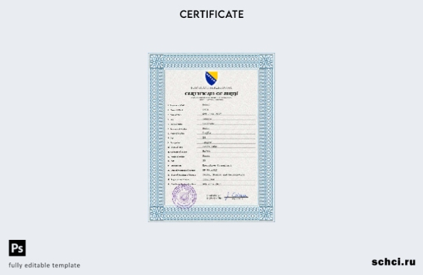 цифровая загрузка PSD шаблона свидетельства о рождении Боснии и Герцеговины